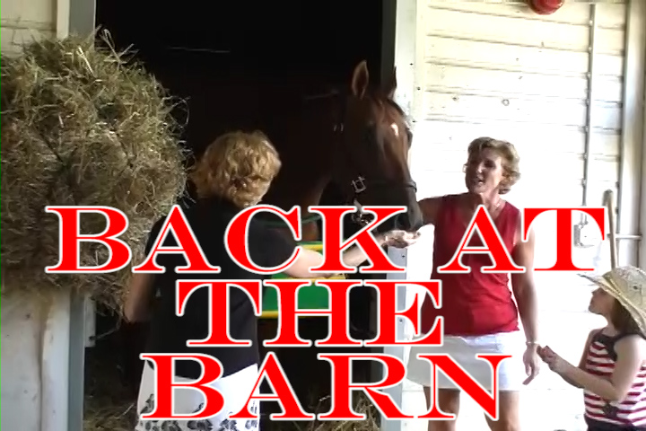 Back At The Barn With Salt Syn!