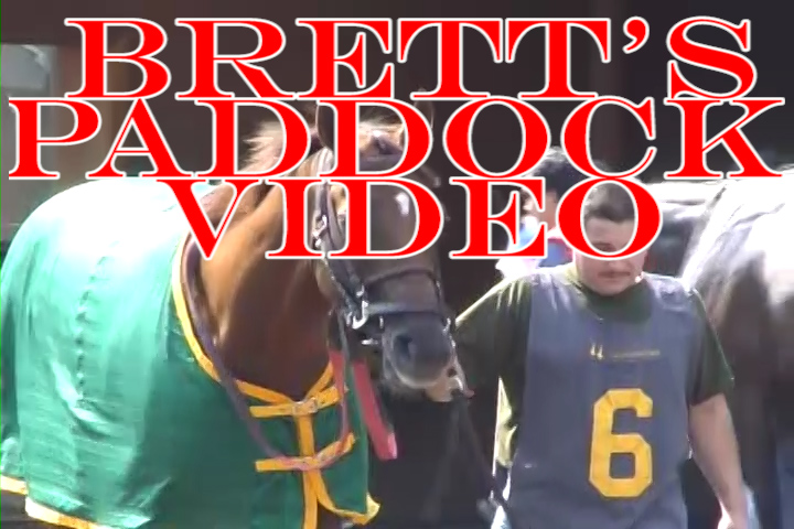 Brett's Paddock Video