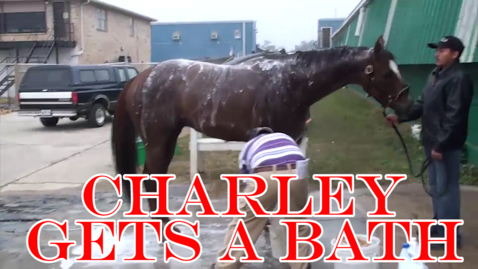 Charley Bathed 