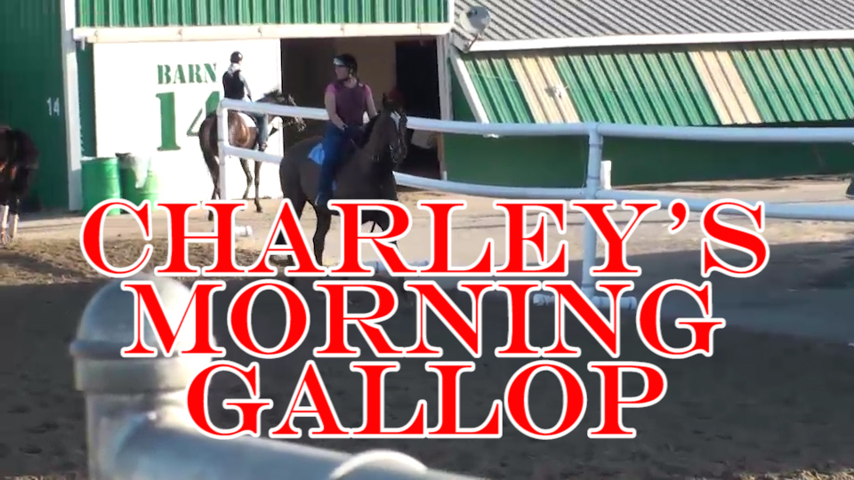 Charley's Morning Gallop