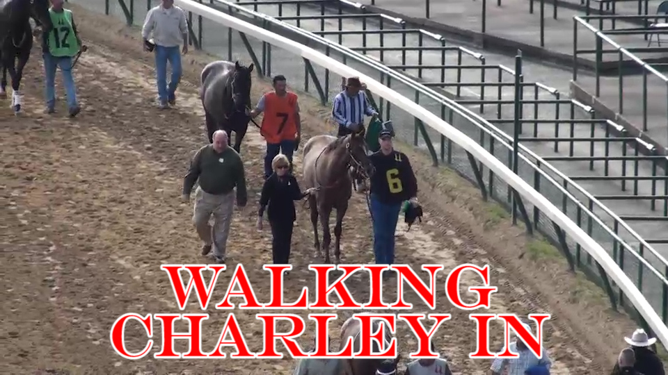 Walking Charley In