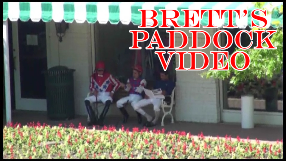 Brett's  Paddock Video