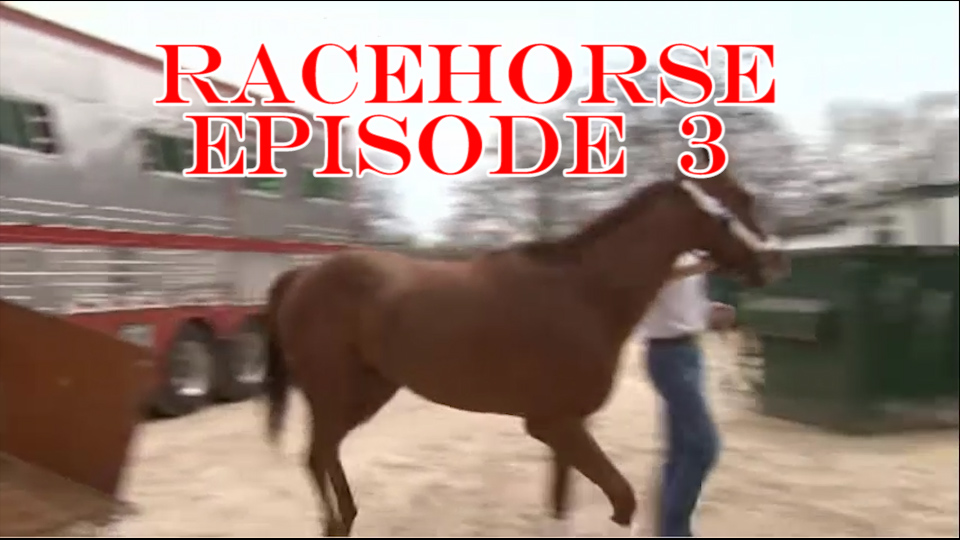 RaceHorse Episode 3 - RRR