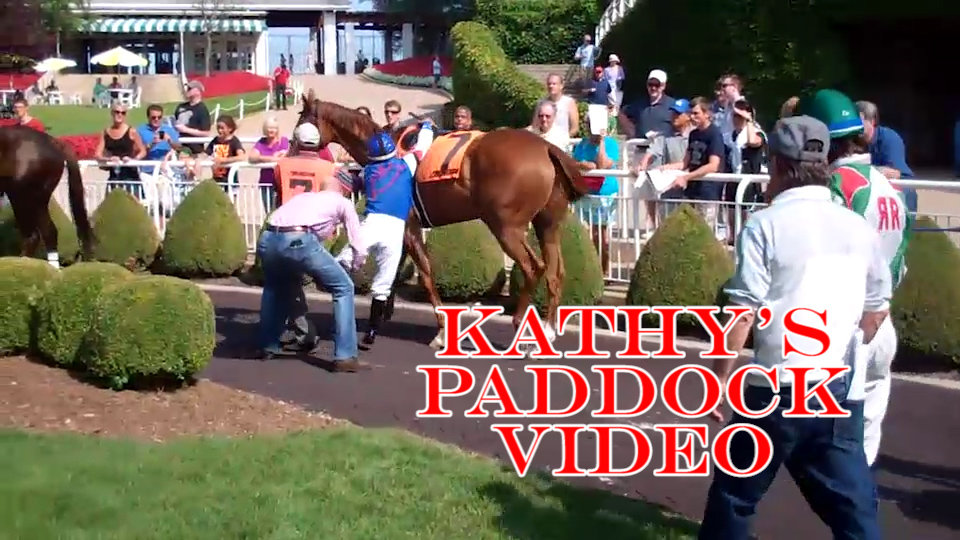 Kathy's Paddock Video